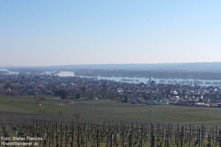 Wanderungen Oestrich Winkel Wandern Mit Rheinwanderer De