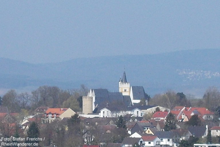 Inselrhein Rundweg zum Schloss Westerhaus bei Ingelheim