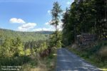 Taunus: Wanderweg am Glaskopf mit Blick auf den Großen Feldberg - Foto: Stefan Frerichs / RheinWanderer.de