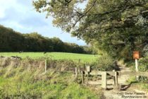 Niederrhein: Wanderweg an der deutsch-niederländischer Grenze bei Wyler - Foto: Stefan Frerichs / RheinWanderer.de