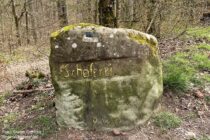 Pfälzerwald: Ritterstein "Schäferei" bei Burgruine Gräfenstein - Foto: Stefan Frerichs / RheinWanderer.de