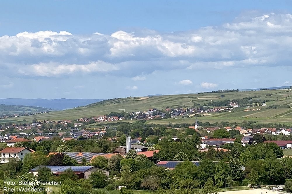 Oberrhein: Blick auf Stadecken-Elsheim in Rheinhessen - Foto: Stefan Frerichs / RheinWanderer.de