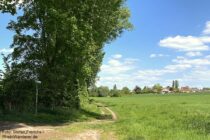 Oberrhein: Wanderweg am Zuweg nach Stadecken - Foto: Stefan Frerichs / RheinWanderer.de