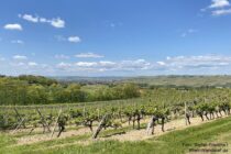 Oberrhein: Blick ins Selztal und auf Stadecken-Elsheim - Foto: Stefan Frerichs / RheinWanderer.de