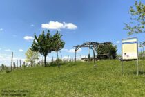 Oberrhein: Rastplatz am Bodenprofil Tonmergel bei Stadecken-Elsheim - Foto: Stefan Frerichs / RheinWanderer.de