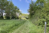 Oberrhein: Wanderweg im Saubachtal bei Stadecken-Elsheim - Foto: Stefan Frerichs / RheinWanderer.de