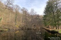 Nahe: Schlossweiher Oberstein bei Idar-Oberstein - Foto Stefan Frerichs / RheinWanderer.de