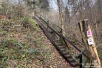 Nahe: Nahe-FelsenWeg an Baumtreppe im Oberen Seitzenbachtal - Foto Stefan Frerichs / RheinWanderer.de