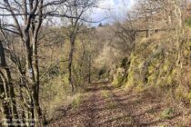 Nahe: Nahe-Felsen-Weg hinter Aussichtspunkt Götzplatz - Foto: Stefan Frerichs / RheinWanderer.de